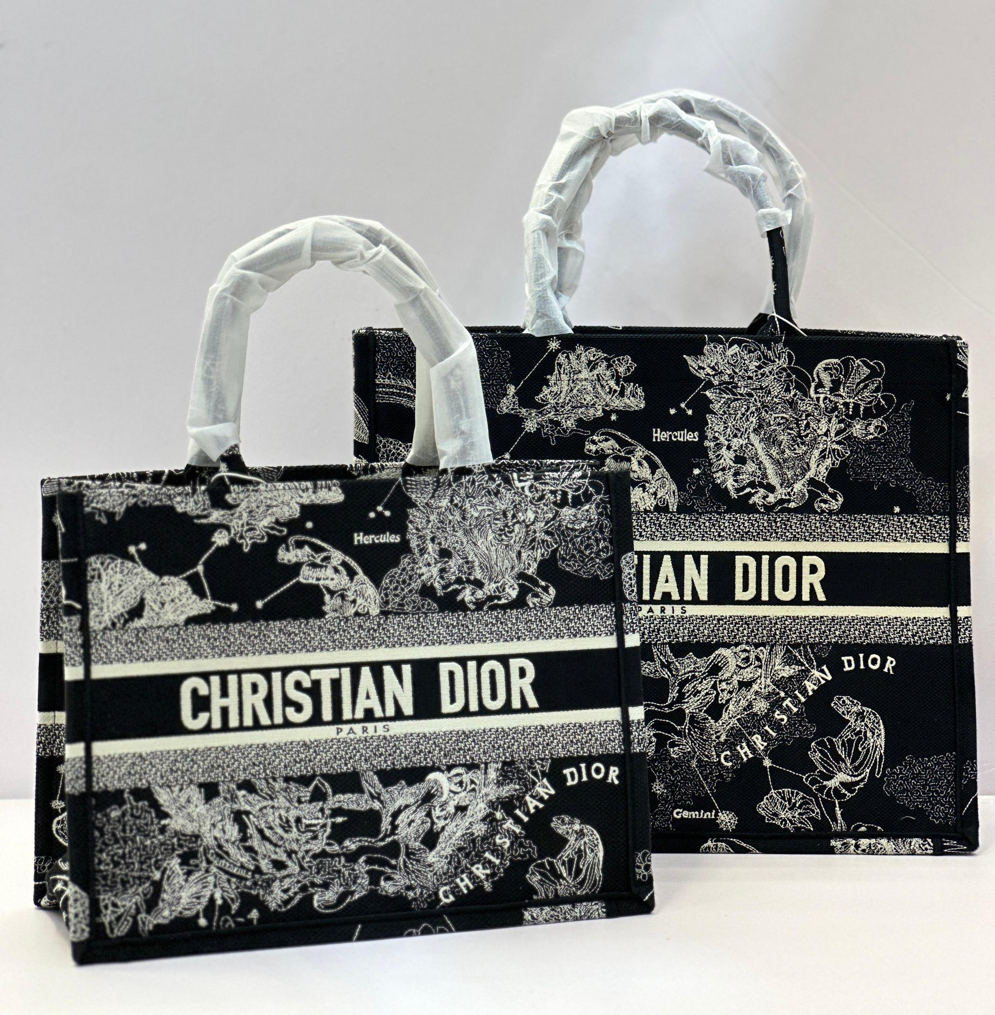 Dior Book Tote Bag